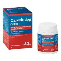 CAREVIT DOG MANGIME 100CPR