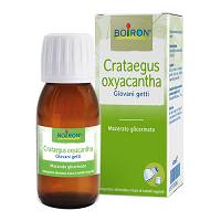 CRATAEGUS OXY BOI MG 60ML INT