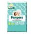 PAMPERS BD DOWNCOUNT J 17PZ
